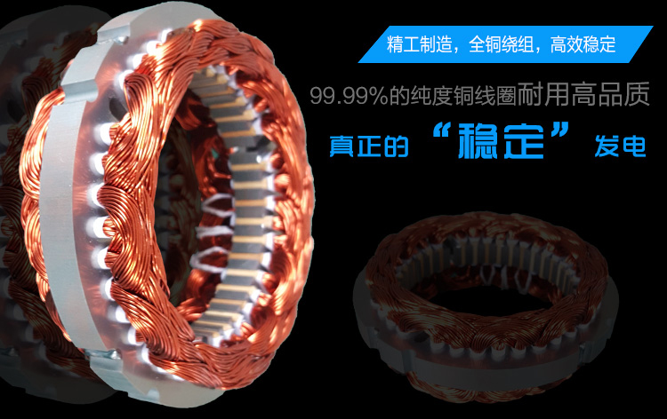300-600W永磁发电机