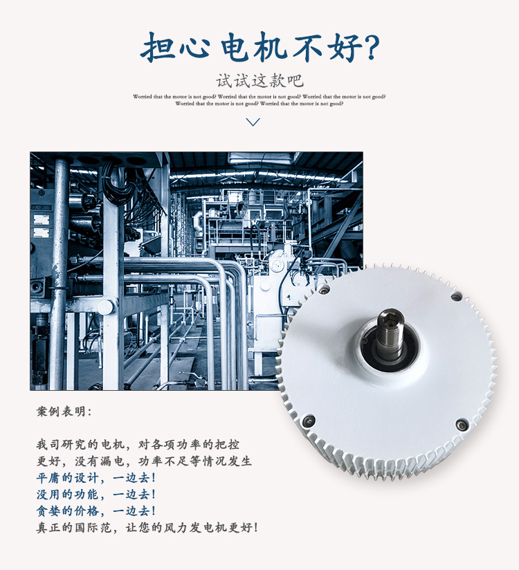 300-400W永磁发电机