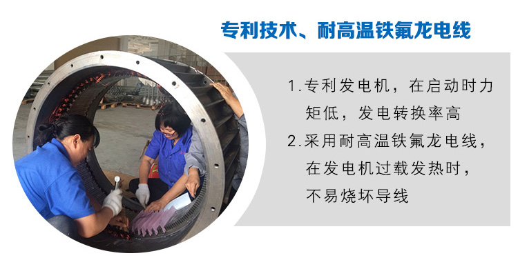 电控型风力发电机