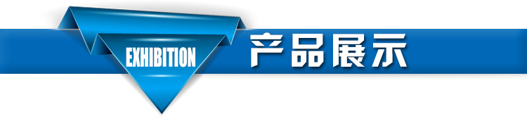 电控型风力发电机